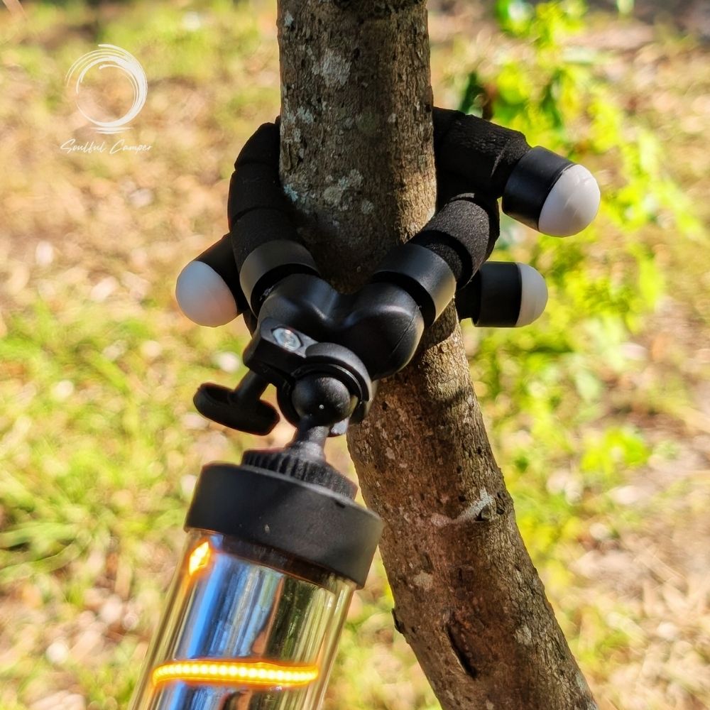 Close-up of Fleximount tripod wrapped securely around tree branch