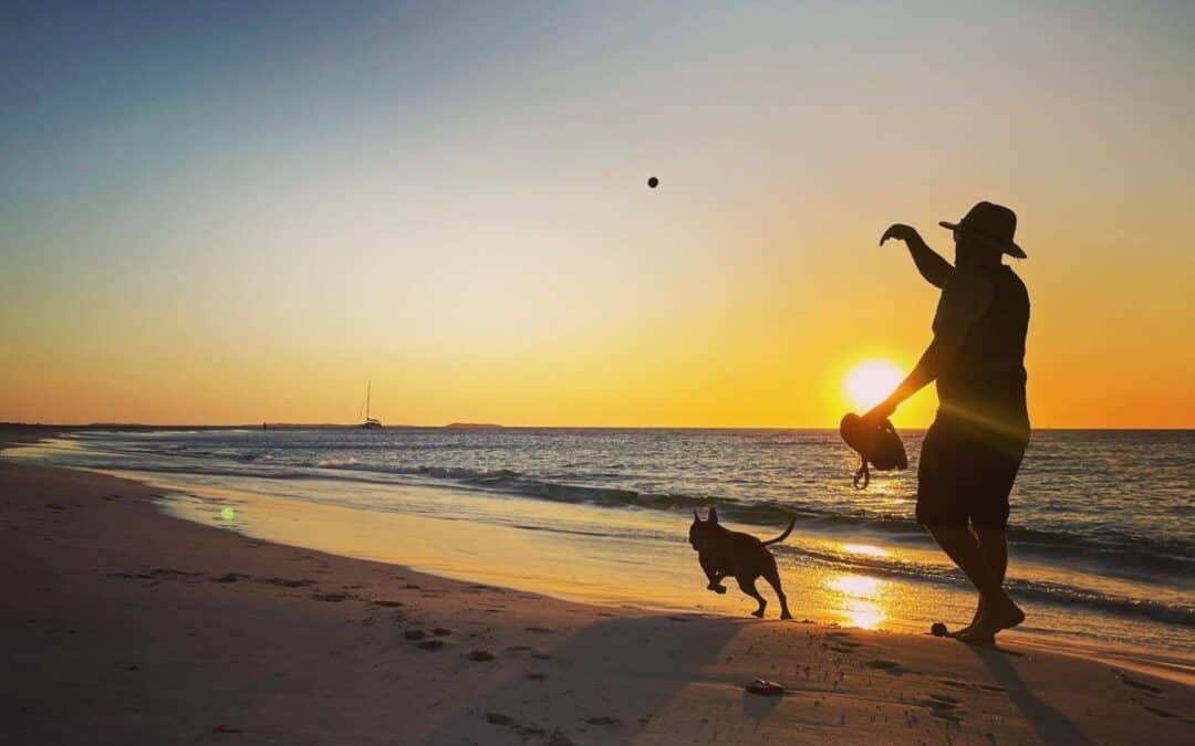 A man and his dog playing fetch on the beach at sunset, golden light reflecting on the waves, a quiet moment of joy, freedom, and presence in nature